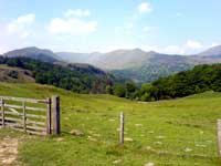 The view to red screes from the bridleway over Loughrigg Fell